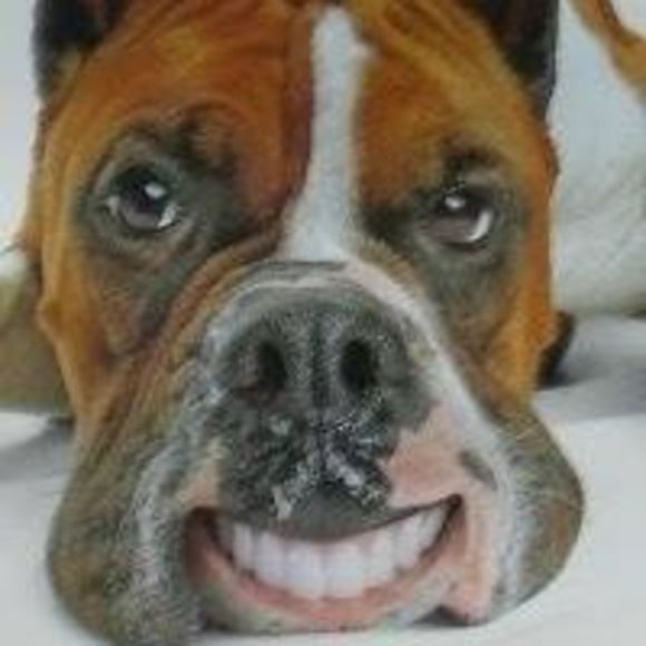 Meet your Posher, Joel - Picture 1 of 1